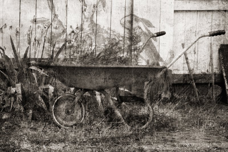 Magical Wheelbarrow BW.jpg :: ©2010 LKG Photography