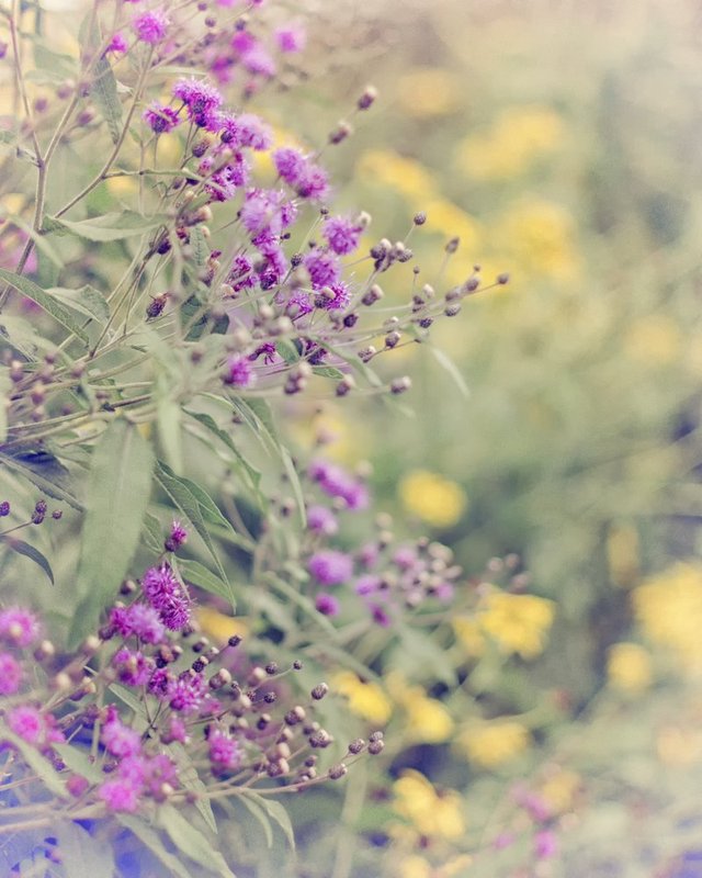Nature is Painting.jpg :: ©2013 LKG Photography