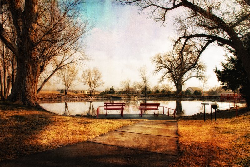 On Golden Pond.jpg :: ©2010 LKG Photography
