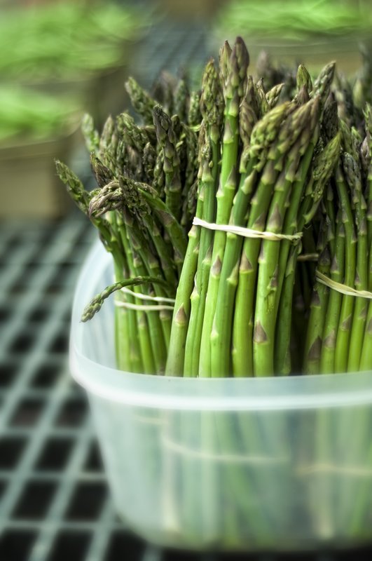 Organic Asparagus.jpg :: Organic Asparagus from a farmer's market