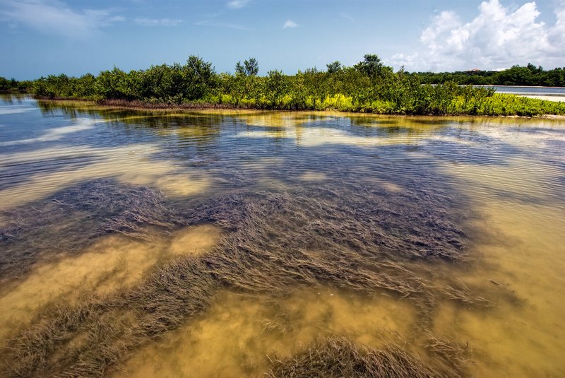 Patterns of the Inlet.jpg :: ©2010 LKG Photography