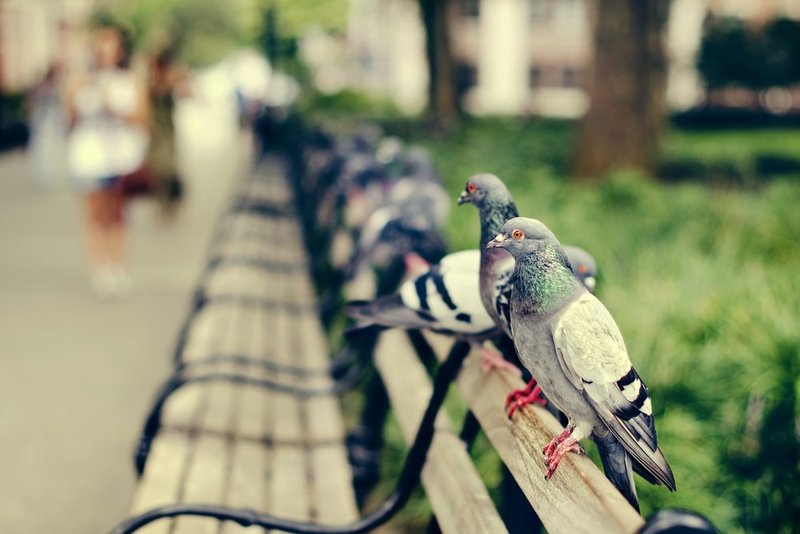 People Watching.jpg :: ©2012 LKG Photography