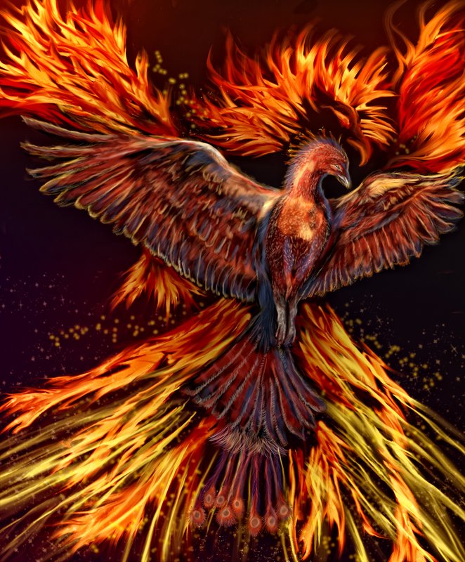 Phoenix Rising.jpg :: Digital art painting.

©2010 LKG Photography