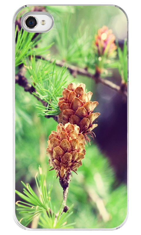 Pinecone Case for iPhone 4 or 4s.jpg :: Case for the iPhone 4 or 4s