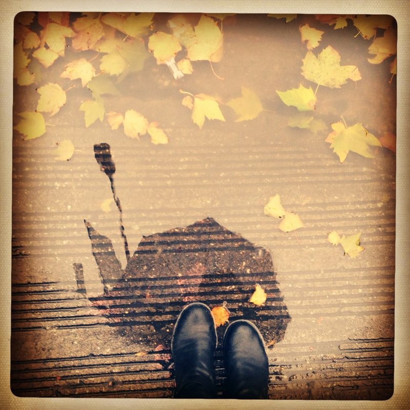 RainyDAy.jpg