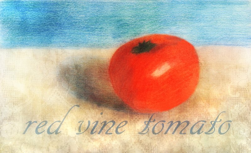 Red Vine Tomato.jpg :: ©2010 LKG Photography