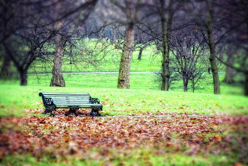 Rendezvous Point.jpg :: Hyde Park, London
©2010 LKG Photography