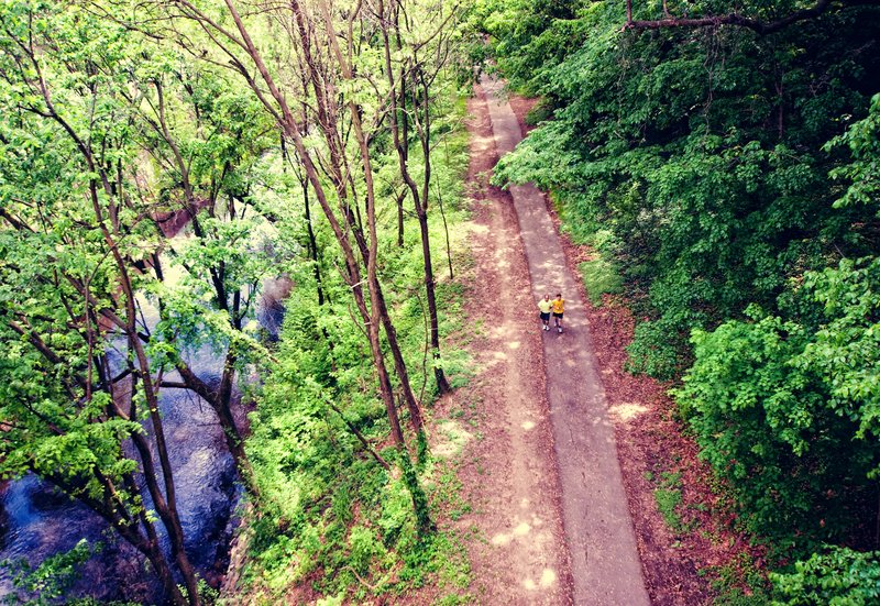 Runners in Rock Creek Park.jpg :: Washington DC