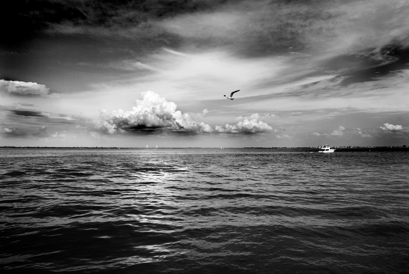 Seascape in BW.jpg