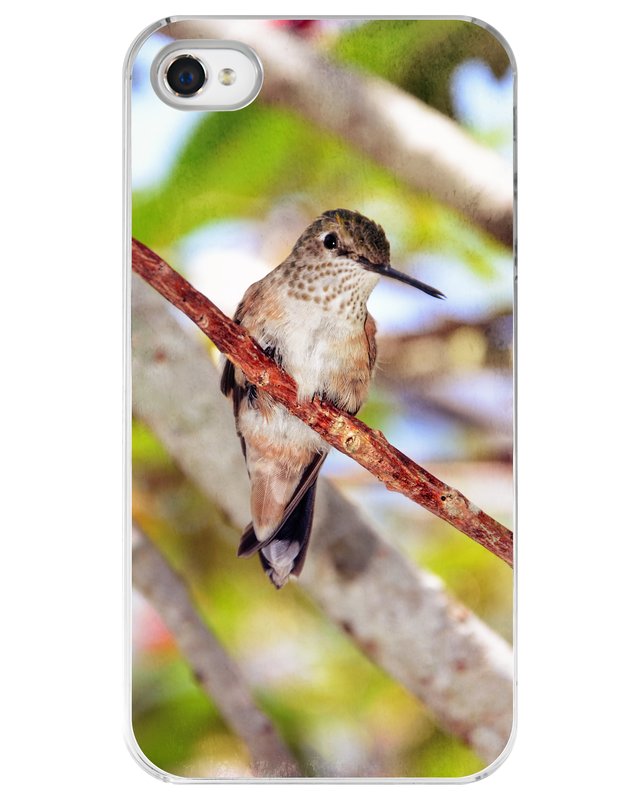 Sitting Pretty iPhone Case.jpg :: Case for the iPhone 4 or 4s