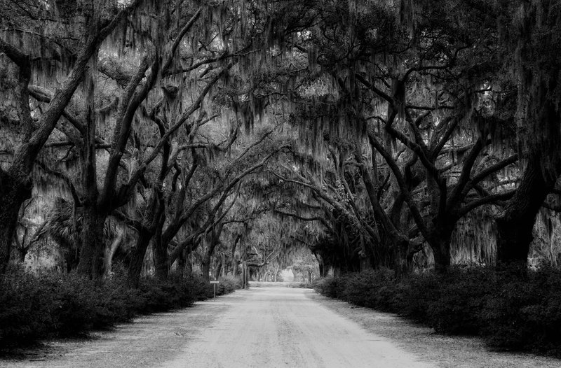 Southern Road.jpg :: Taken in Savannah, Georgia

©2010 www.lkgphoto.com