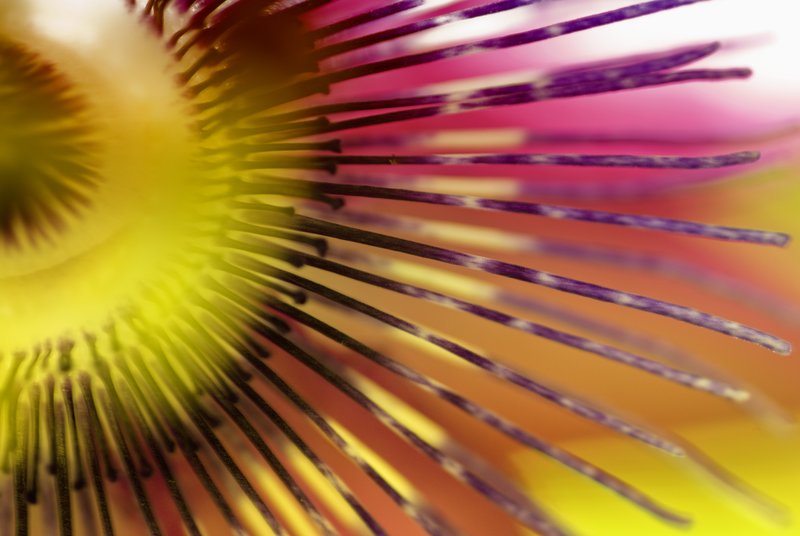 Starburst.jpg