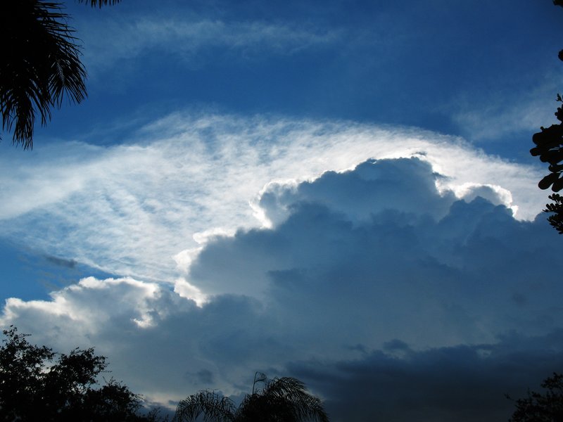 Storm Clouds.jpg :: Stock images are available for download at $3.00 each (plus .50 PayPal fee) and are transferred at full resolution and are Royalty and Copyright free and can be used in commercial work.