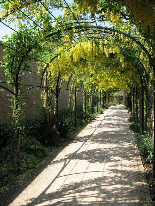Sunlit Garden Path.jpg :: Taken in Kew Gardens, England.