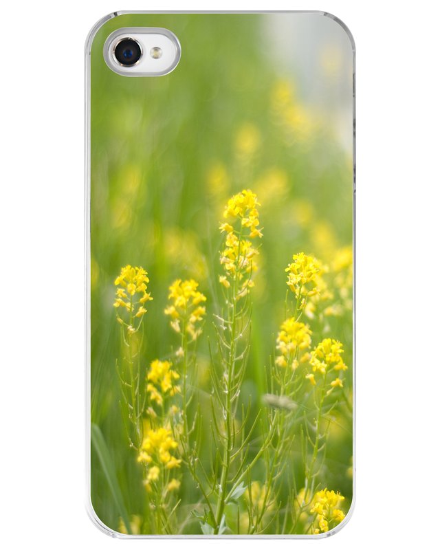 Sunny Days Ahead iPhone Case.jpg :: iPhone Case for the 4 or 4s