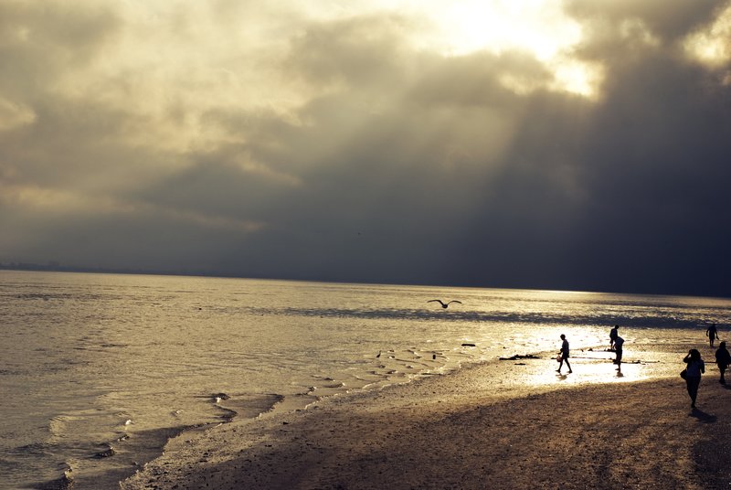 Sunrise.jpg :: Sunrise on Sanibel Island