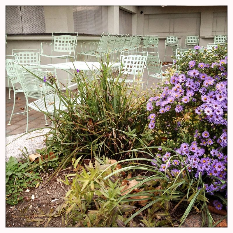 TablesidePurples.jpg