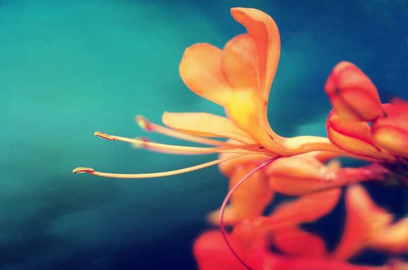 The Greatest Gift.jpg :: ©2010 LKG Photography
