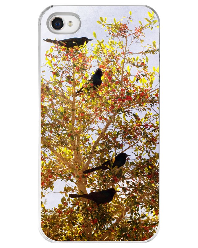 The Posse iPhone Case.jpg :: Case for the iPhone 4 or 4s