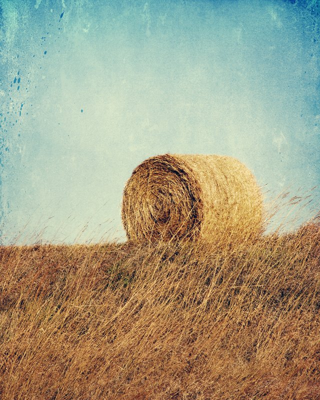 TheLoneBale.jpg :: ©2011 LKG Photography