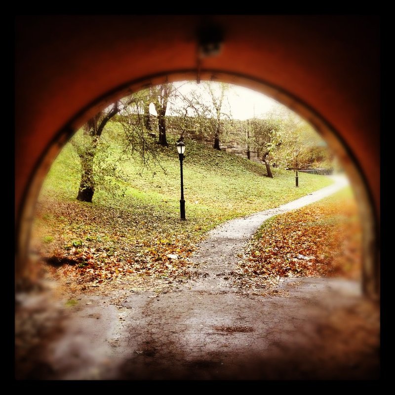 ThePathway.jpg