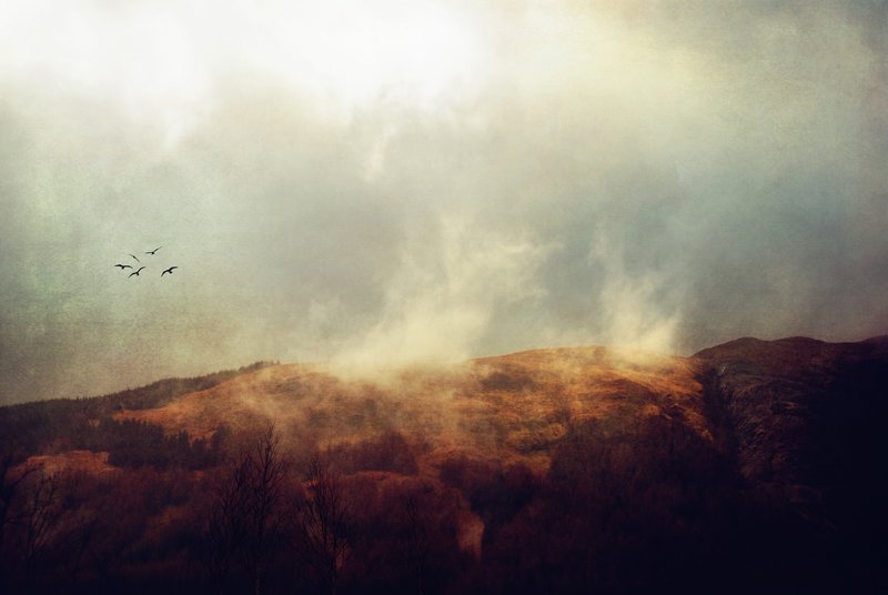 There is magic in the wild places of earth.jpg :: Scottish Highlands