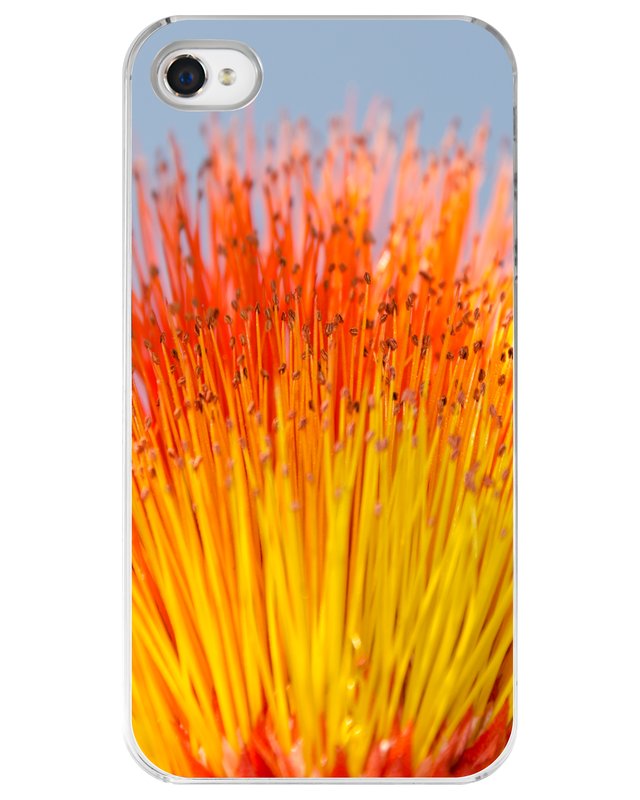 Tickle My Fancy iPhone Case.jpg :: Case for the iPhone 4 or 4s