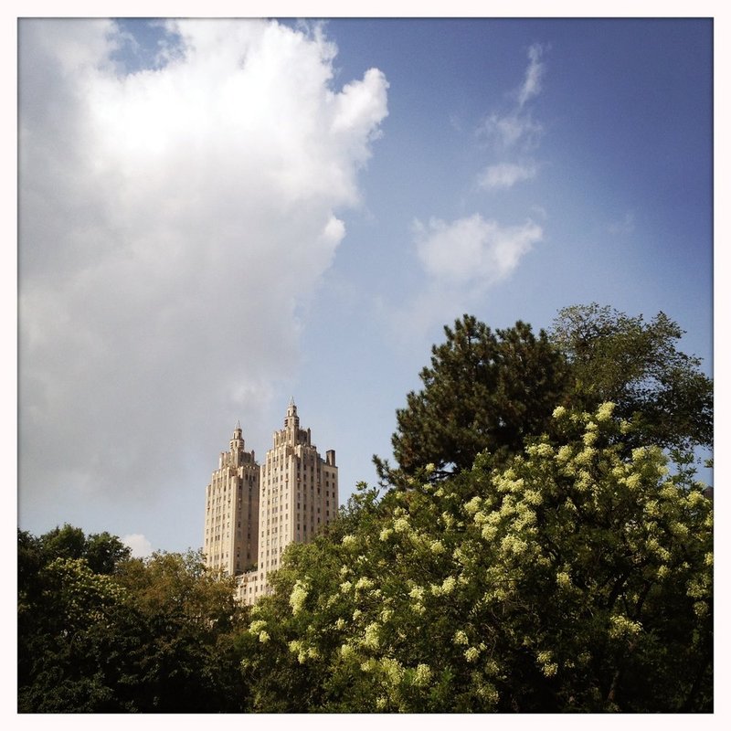 TowersInTheTrees.jpg :: Taken with the iPhone 4s

©2013 LKG Photography