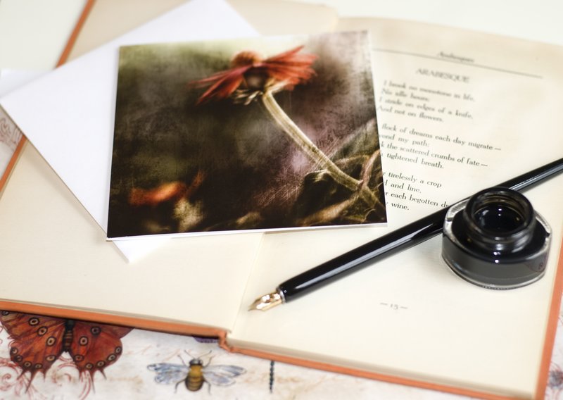 Transitory Dreams Note Cards.jpg :: 5x5 Blank note cards with white envelopes, set of 12.
Image: Transitory Dreams
