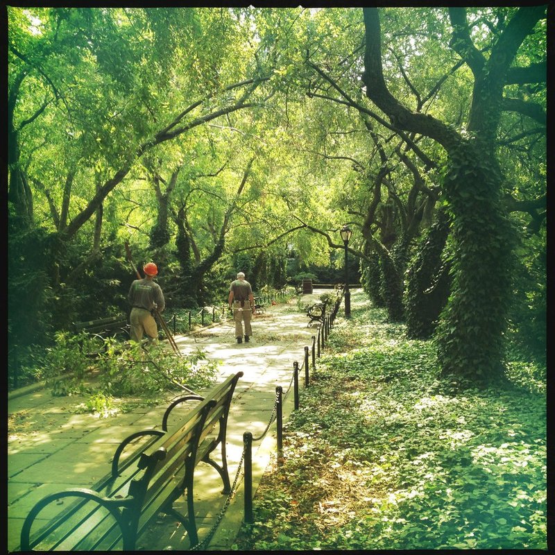 TreeKeepers.jpg :: Taken with the iPhone 4s

©2013 LKG Photography