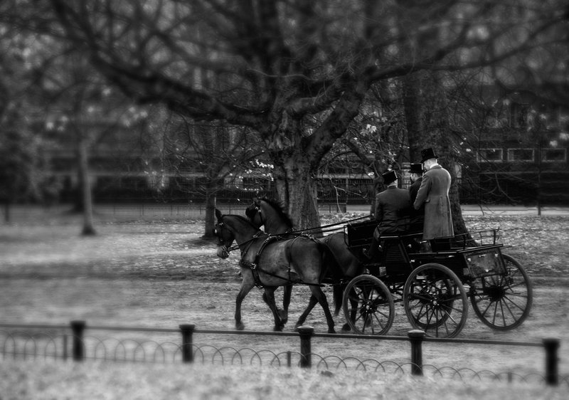 Trotting Along Rotten Row.jpg :: London, England