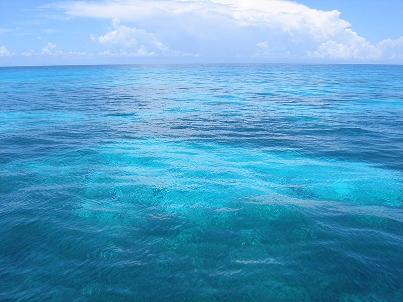 Turquoise Reef.jpg :: Taken in Key Largo, Florida
