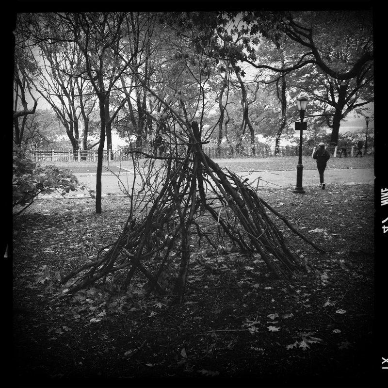 Twigpee.jpg