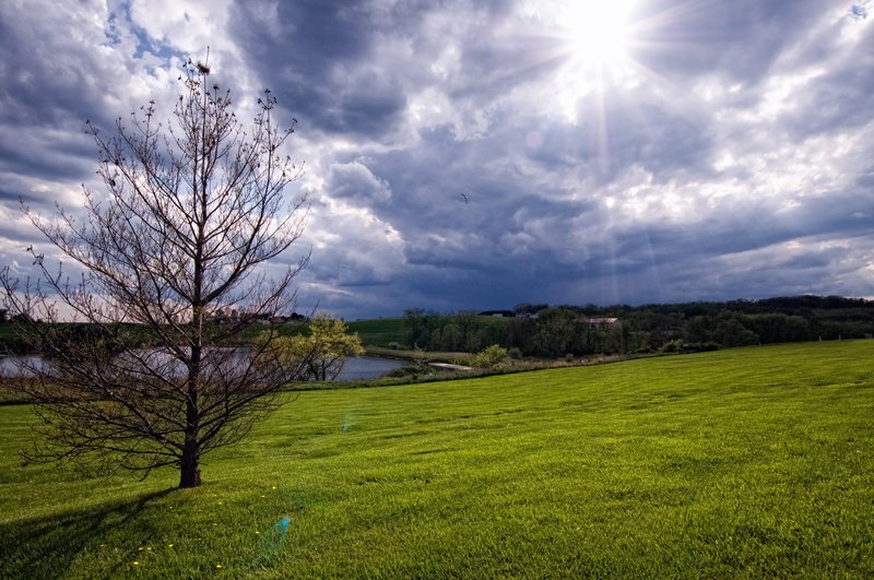 Under an Open Sky.jpg