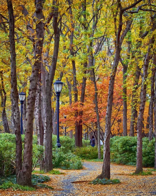 Walking Into Autumn.jpg :: ©2013 LKG Photography