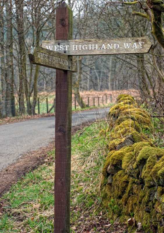West Highland Way Route Marker.jpg :: Route marker for West Highland Way, Scottish Highlands
