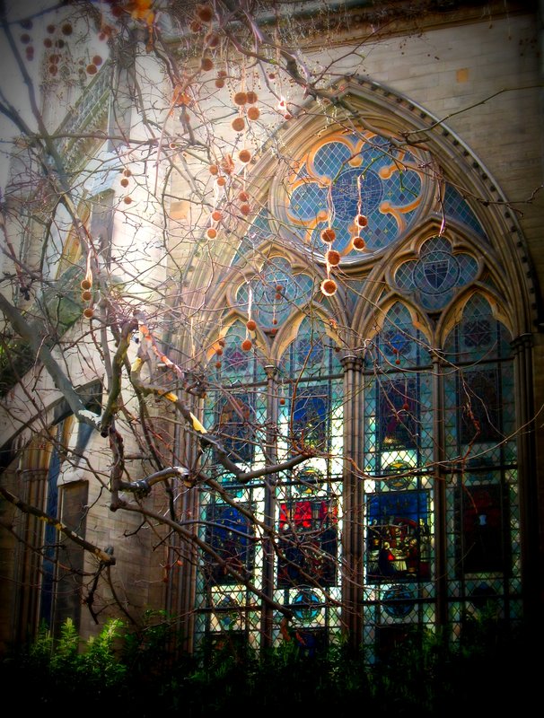 What Light Through Yonder Window Breaks.jpg :: Sunlight basks a medieval window