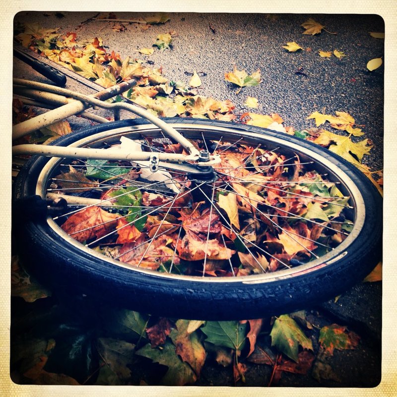 WheelArt.jpg