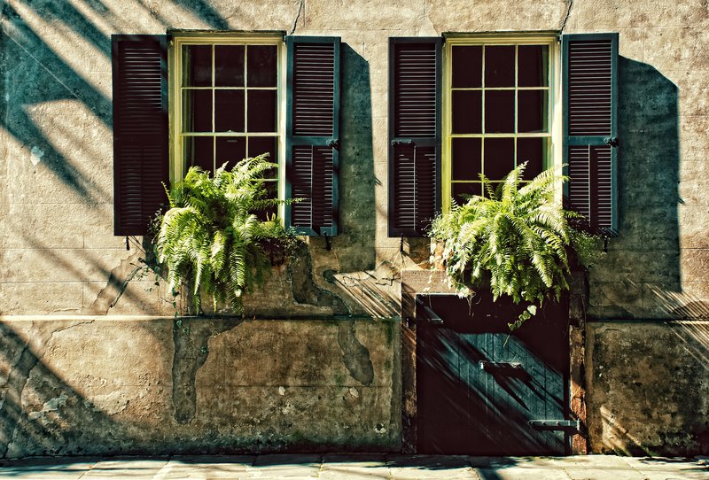 When Shadows Fall.jpg :: ©2011 LKG Photograph