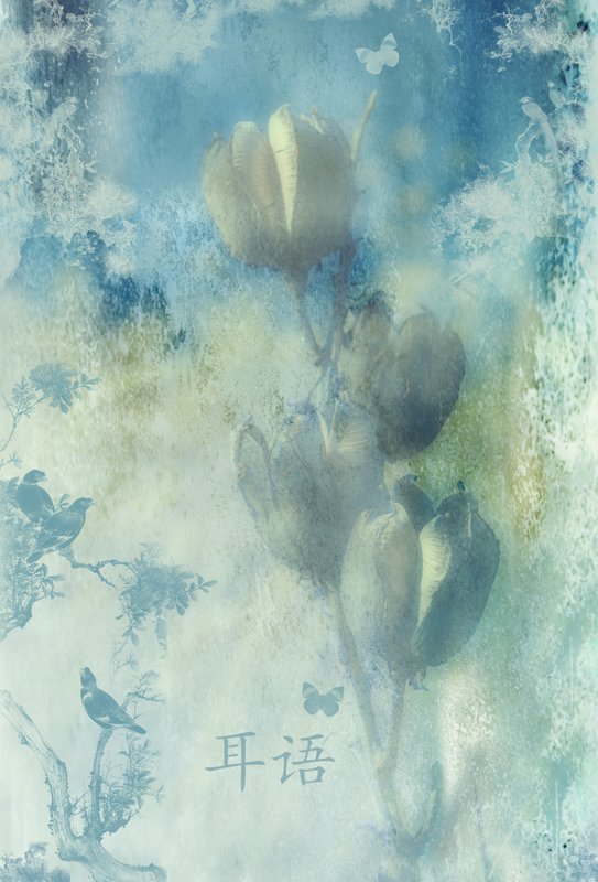 Whisper.jpg :: Yucca Pods make a perfect subject for a Chinese Collage.