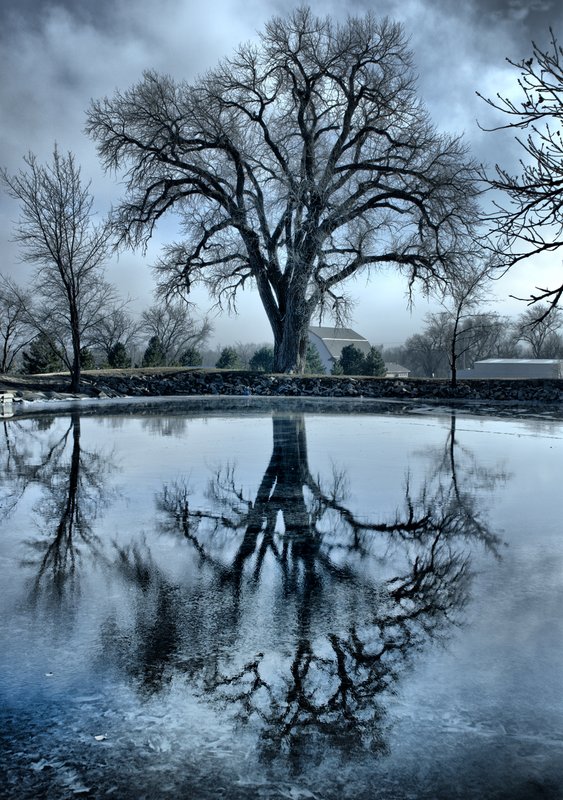 Winter Reflections.jpg