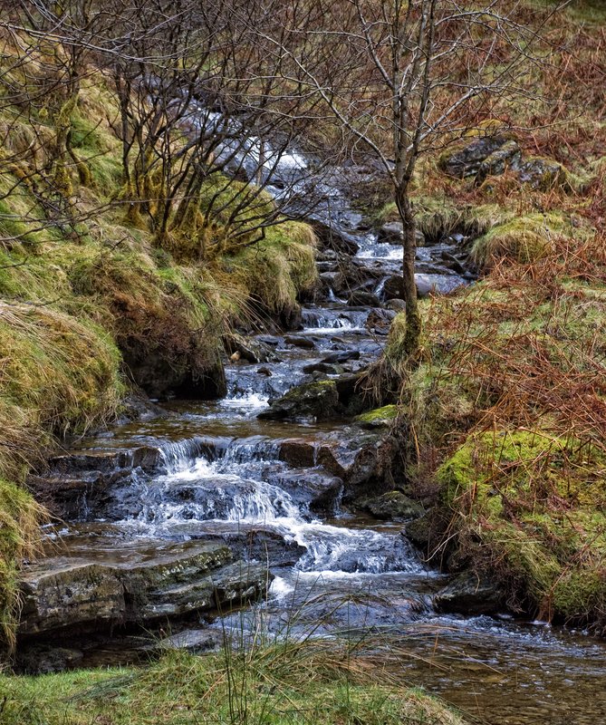 Woodland Waterfall.jpg :: Stock images are available for download at $3.00 each (plus .50 PayPal fee) and are transferred at full resolution and are Royalty and Copyright free and can be used in commercial work.