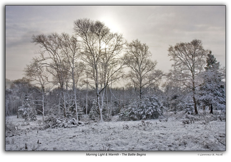 -Snowstorm -Remnants.jpg