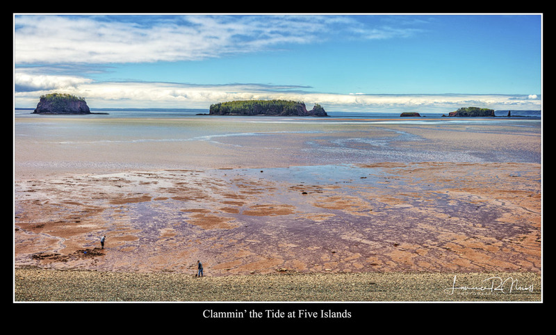_LRN0052-0067 -Five Islands  Clam Diggers.jpg