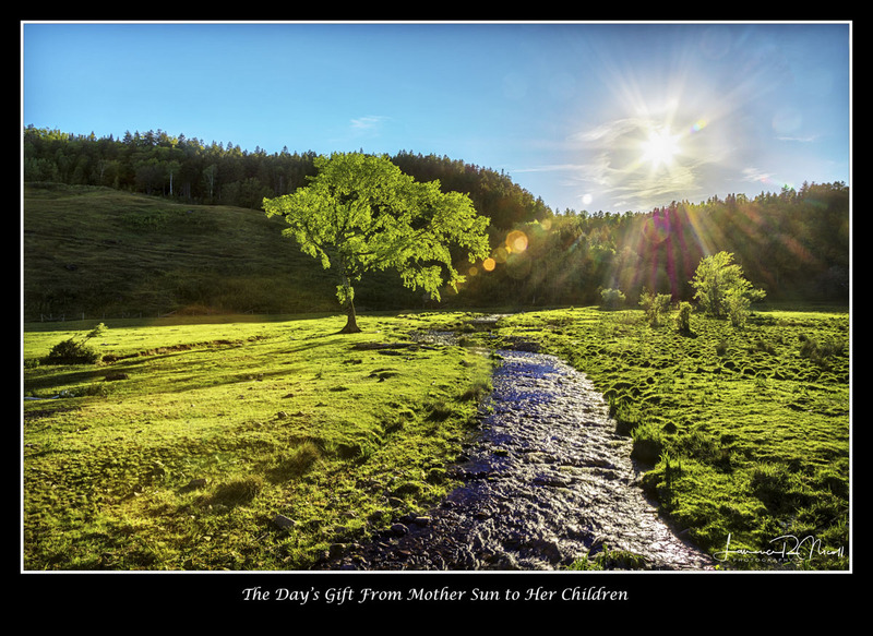 _LRN0329 -Glowing in the Sunrise .jpg