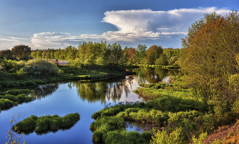 _LRN0354 -Fall Reflections.jpg