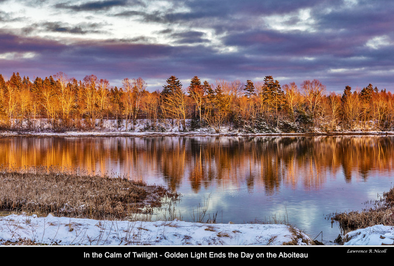 _LRN0840 -Golden Light at Days End .jpg