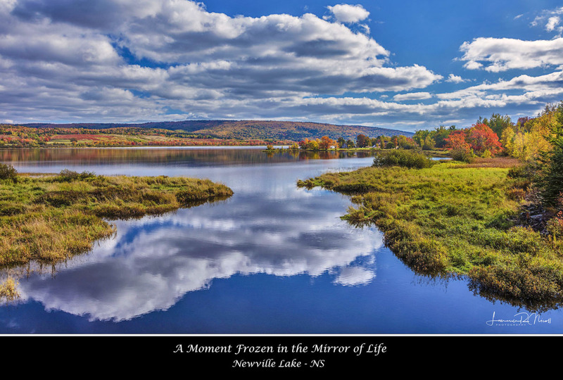 _LRN1331  -Fozen Moments.jpg