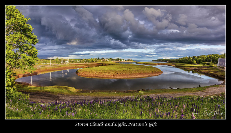 _LRN1788-1795 -The Gooseneck.jpg