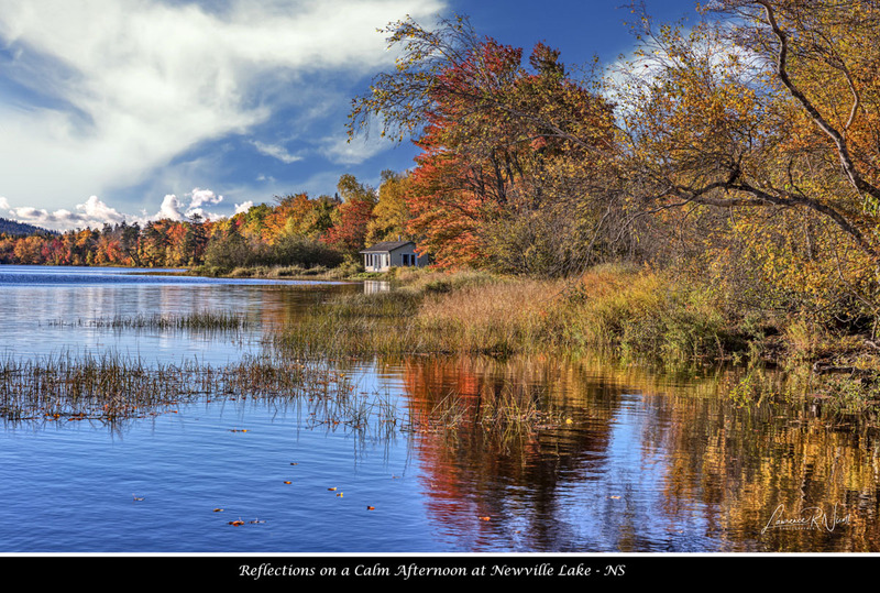 _LRN2086 -Newville Lake in the fall.jpg